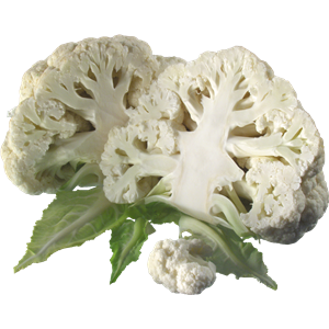 cauliflower PNG image-8788